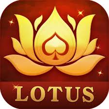 how to play teen patti in computer download